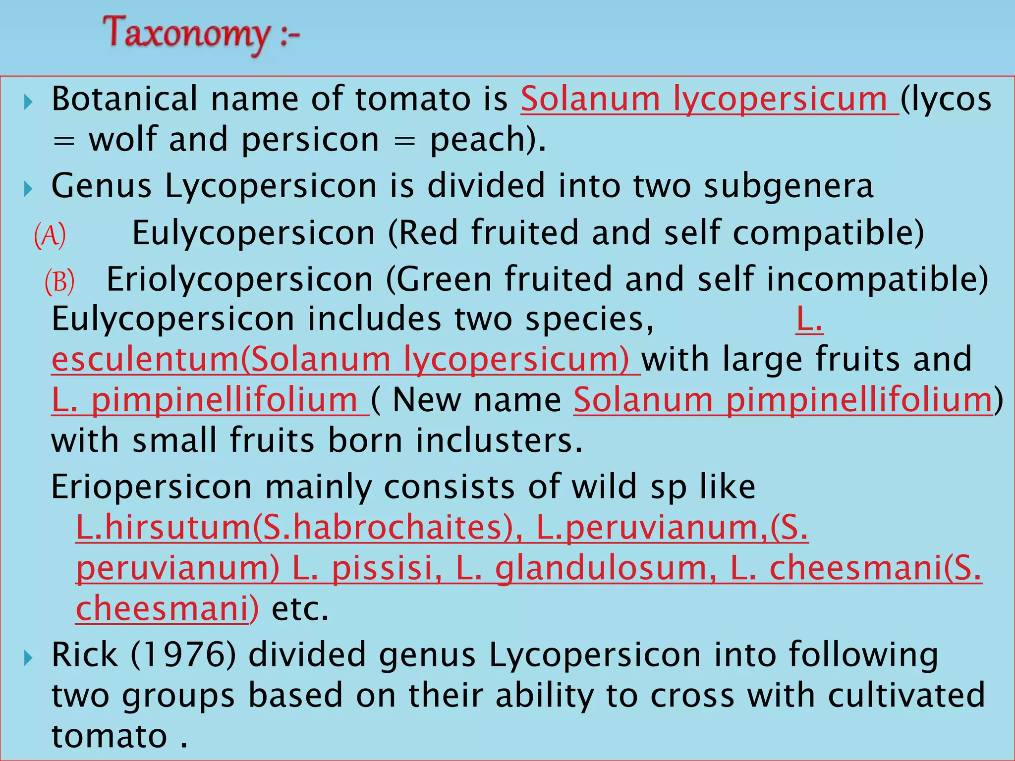  Botanical name of tomato is Solanum lycopersicum (lycos
= wolf and persicon = peach).
 Genus Lycopersicon is divided into two subgenera
(A) Eulycopersicon (Red fruited and self compatible)
(B) Eriolycopersicon (Green fruited and self incompatible)
Eulycopersicon includes two species, L.
esculentum(Solanum lycopersicum) with large fruits and
L. pimpinellifolium ( New name Solanum pimpinellifolium)
with small fruits born inclusters.
Eriopersicon mainly consists of wild sp like
L.hirsutum(S.habrochaites), L.peruvianum,(S.
peruvianum) L. pissisi, L. glandulosum, L. cheesmani(S.
cheesmani) etc.
 Rick (1976) divided genus Lycopersicon into following
two groups based on their ability to cross with cultivated
tomato .
 