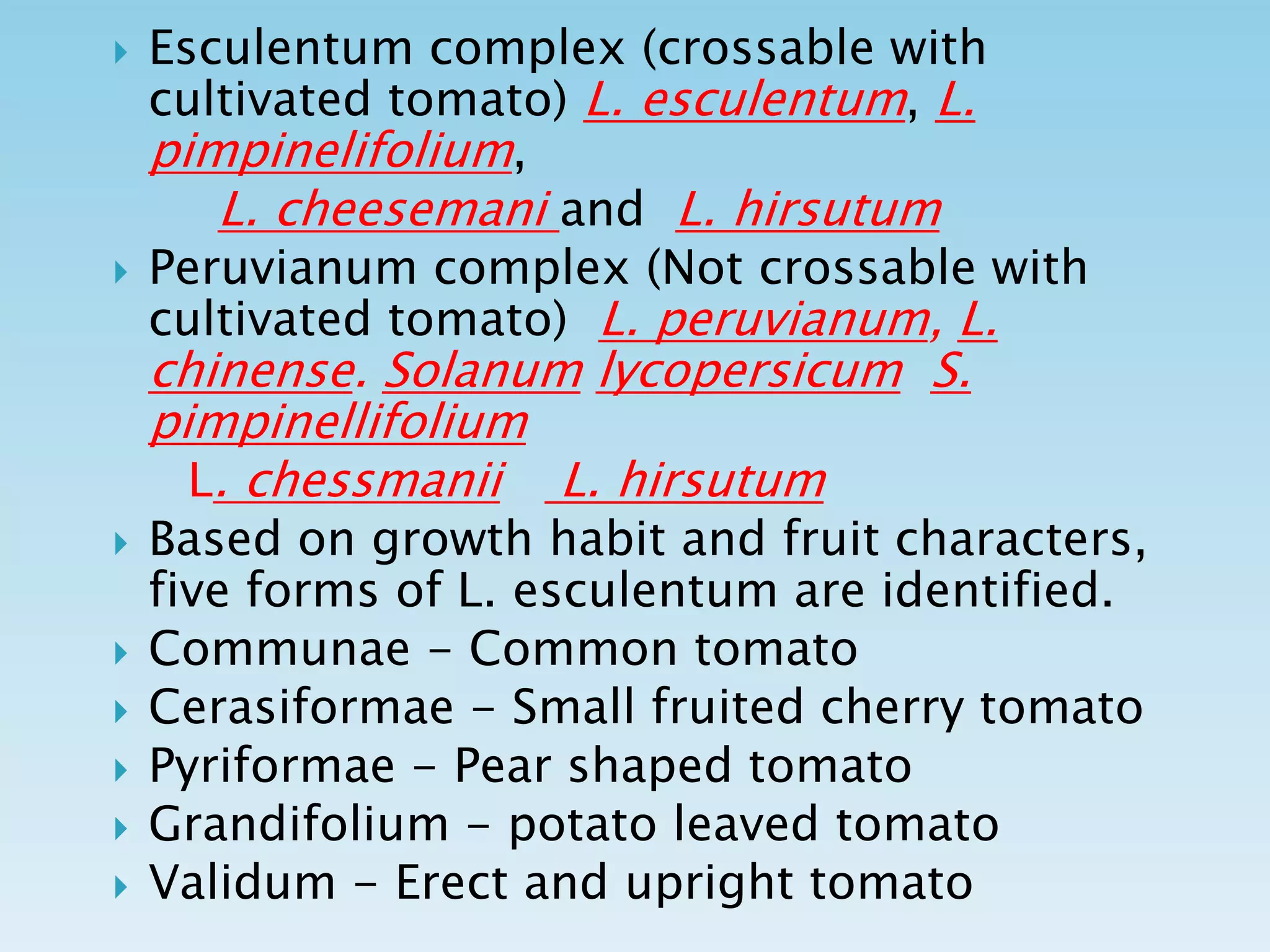  Esculentum complex (crossable with
cultivated tomato) L. esculentum, L.
pimpinelifolium,
L. cheesemani and L. hirsutum
 Peruvianum complex (Not crossable with
cultivated tomato) L. peruvianum, L.
chinense. Solanum lycopersicum S.
pimpinellifolium
L. chessmanii L. hirsutum
 Based on growth habit and fruit characters,
five forms of L. esculentum are identified.
 Communae - Common tomato
 Cerasiformae - Small fruited cherry tomato
 Pyriformae - Pear shaped tomato
 Grandifolium - potato leaved tomato
 Validum - Erect and upright tomato
 