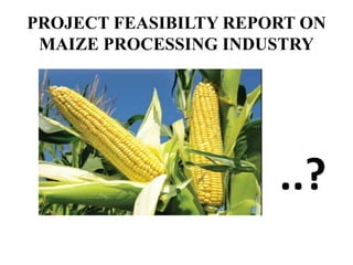 PROJECT FEASIBILTY REPORT ON
MAIZE PROCESSING INDUSTRY
..?
 
