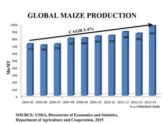 GLOBAL MAIZE PRODUCTION
SOURCE: USDA, Directorate of Economics and Statistics,
Department of Agriculture and Cooperation, 2015
 