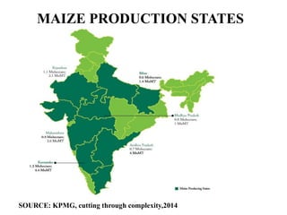 MAIZE PRODUCTION STATES
SOURCE: KPMG, cutting through complexity,2014
 