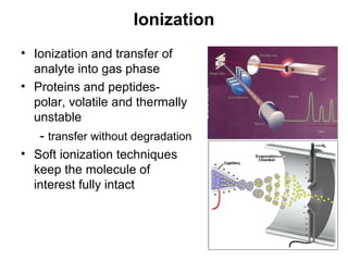 Ionization
• Ionization and transfer of
analyte into gas phase
• Proteins and peptides-
polar, volatile and thermally
unstable
- transfer without degradation
• Soft ionization techniques
keep the molecule of
interest fully intact
 