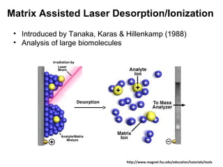 Matrix Assisted Laser Desorption/Ionization
• Introduced by Tanaka, Karas & Hillenkamp (1988)
• Analysis of large biomolecules
Desorption
http://www.magnet.fsu.edu/education/tutorials/tools
Irradiation by
 