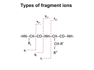 Types of fragment ions
-HN--CH--CO--NH--CH--CO--NH-
Ri CH-R’
ci
zn-i
R”
ai
xn-i
bi
yn-i
 