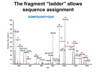 The fragment “ladder” allows
sequence assignment
DQMPQGDKVYQAK
Q
Y
V
 