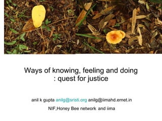 Ways of knowing, feeling and doing : quest for justice anil k gupta  [email_address]  anilg@iimahd.ernet.in NIF,Honey Bee network   and iima 