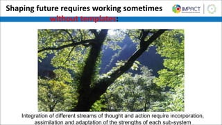 Shaping future requires working sometimes
without templates:
Integration of different streams of thought and action require incorporation,
assimilation and adaptation of the strengths of each sub-system
 