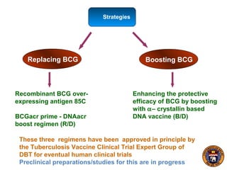 Strategies
Replacing BCG Boosting BCG
Recombinant BCG over-
expressing antigen 85C
BCGacr prime - DNAacr
boost regimen (R/D)
Enhancing the protective
efficacy of BCG by boosting
with α– crystallin based
DNA vaccine (B/D)
These three regimens have been approved in principle by
the Tuberculosis Vaccine Clinical Trial Expert Group of
DBT for eventual human clinical trials
Preclinical preparations/studies for this are in progress
 