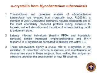 α-crystallin from Mycobacterium tuberculosis
1. Transcriptome and proteome analysis of Mycobacterium
tuberculosis has revealed that α–crystallin (acr, Rv2031c), a
member of DosR-DosS/DosT dormancy regulon, represents one of
the most abundantly produced proteins during exposure to
hypoxia, nutrient starvation and transition of actively dividing bacilli
to a dormant state.
2. Latently infected individuals (healthy PPD+ and household
contacts) exhibit increased lympho-proliferative and IFN-γ
response to α–crystallin as compared to patients with active TB.
3. These observations signify a crucial role of α–crystallin in the
elicitation of protective immune responses and maintenance of
disease free state in these subjects, thus, making this antigen an
attractive target for the development of new TB vaccines.
 