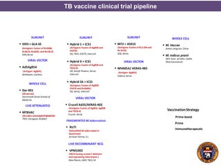 PHASE I PHASE IIa PHASE IIb PHASE III
SUBUNIT
 ID93 + GLA-SE
(Antigens: Fusion of Rv2608,
Rv3619, Rv3620, and Rv1813)
IDRI,Aeras
VIRAL VECTOR
 Ad5Ag85A
(Antigen: Ag85A)
McMaster, CanSino
LIVE ATTENUATED
 MTBVAC
(M.tuberculosisΔphoPΔfadD26)
TBVI, Zaragoza, Biofabri
SUBUNIT
 Hybrid 1 + IC31
(Antigens: Fusion of Ag85B and
ESAT6)
SSI, TBVI, EDCTP, Intercell
 Hybrid 4 + IC31
(Antigens: Fusion of Ag85B and
TB10.4)
SSI, Sanofi-Pasteur, Aeras,
Intercell
 Hybrid 56 + IC31
(Antigens: Fusion of Ag85B,
ESAT6 and Rv2660c)
SSI, Aeras, Intercell
SUBUNIT
 M72 + AS01E
(Antigens: Fusion of Rv1196 and
Rv 0125)
GSK, Aeras
VIRAL VECTOR
 MVA85A/ AERAS-485
(Antigen: Ag85A)
Oxford, Aeras
FRAGMENTED M.tuberculosis
 RUTI
(Detoxified M.tuberculosis in
liposomes)
Archivel Farma, S.L.
WHOLE CELL
 M. Vaccae
AnHui Langcom, China
 M. indicus pranii
DBT, Govt. of India, Cadila
Pharmaceuticals
LIVE RECOMBINANT BCG
 VPM1002
(rBCG having urease C deletion
and expressing listeriolysin )
Max Planck, VMP, TBVI, SII
Prime-boost
Prime
Immunotherapeutic
VaccinationStrategy
WHOLE CELL
 Dar-901
(M.vaccae)
Dartmouth Geisel School of
Medicine
VIRAL VECTOR
 Crucell Ad35/AERAS-402
(Antigens: Fusion of Ag85A, Ag85B
and TB10.4)
Crucell, Aeras
TB vaccine clinical trial pipeline
 