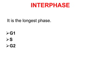 INTERPHASE 
It is the longest phase. 
G1 
S 
G2 
 