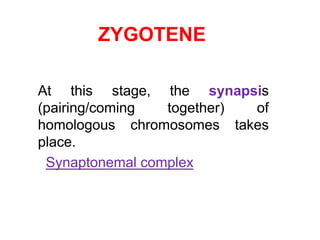 ZYGOTENE 
At this stage, the synapsis 
(pairing/coming together) of 
homologous chromosomes takes 
place. 
Synaptonemal complex 
 