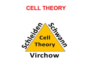 CELL THEORY 
 