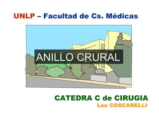 UNLP  –  Facultad de Cs. Médicas CATEDRA C de CIRUGIA Leo COSCARELLI ANILLO CRURAL   