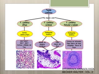 OTORRINOLARINGOLOGÍA
BECKER WALTER . VOL. 2
 