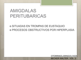 AMIGDALAS
PERITUBARICAS
 SITUADAS EN TROMPAS DE EUSTAQUIO
 PROCESOS OBSTRUCTIVOS POR HIPERPLASIA
OTORRINOLARINGOLOGÍA
BECKER WALTER . VOL. 2
 