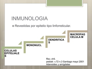 INMUNOLOGIA
 Revestidas por epitelio tipo linforreticular.
CELULAS
EPITELIALE
S
MONONUCL
DENDRITICA
S
MACROFAG
CELULA M
Rev. chil.
pediatr. v.72 n.3 Santiago mayo 2001
Adenoides y amígdalas
 