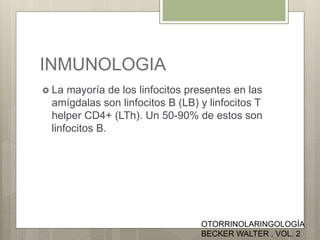INMUNOLOGIA
 La mayoría de los linfocitos presentes en las
amígdalas son linfocitos B (LB) y linfocitos T
helper CD4+ (LTh). Un 50-90% de estos son
linfocitos B.
OTORRINOLARINGOLOGÍA
BECKER WALTER . VOL. 2
 