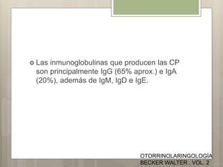  Las inmunoglobulinas que producen las CP
son principalmente IgG (65% aprox.) e IgA
(20%), además de IgM, IgD e IgE.
OTORRINOLARINGOLOGÍA
BECKER WALTER . VOL. 2
 