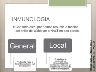 INMUNOLOGIA
 Con todo esto, podríamos resumir la función
del anillo de Waldeyer o NALT en dos partes:
General
Produce Ig, hacia el
torrente circulatorio y al
tubo digestivo.
Local
|A través de la
producción de
inmunoglobulinas
secretorias, mediante un
mecanismo denominado
simbiosis linfoepitelial.
OTORRINOLARINGOLOGÍA
BECKERWALTER.VOL.2
 