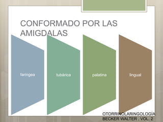 CONFORMADO POR LAS
AMIGDALAS
faringea tubárica palatina lingual
OTORRINOLARINGOLOGÍA
BECKER WALTER . VOL. 2
 