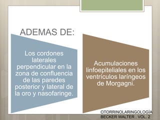 ADEMAS DE:
Los cordones
laterales
perpendicular en la
zona de confluencia
de las paredes
posterior y lateral de
la oro y nasofaringe.
Acumulaciones
linfoepiteliales en los
ventrículos laríngeos
de Morgagni.
OTORRINOLARINGOLOGÍA
BECKER WALTER . VOL. 2
 