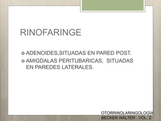 RINOFARINGE
 ADENOIDES,SITUADAS EN PARED POST.
 AMIGDALAS PERITUBARICAS, SITUADAS
EN PAREDES LATERALES.
OTORRINOLARINGOLOGÍA
BECKER WALTER . VOL. 2
 