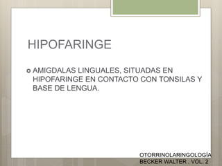 HIPOFARINGE
 AMIGDALAS LINGUALES, SITUADAS EN
HIPOFARINGE EN CONTACTO CON TONSILAS Y
BASE DE LENGUA.
OTORRINOLARINGOLOGÍA
BECKER WALTER . VOL. 2
 