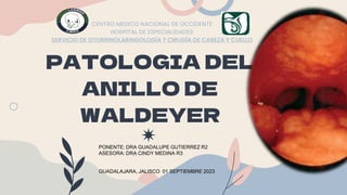 PATOLOGIA DEL
ANILLO DE
WALDEYER
CENTRO MEDICO NACIONAL DE OCCIDENTE
HOSPITAL DE ESPECIALIDADES
SERVICIO DE OTORRINOLARINGOLOGÍA Y CIRUGÍA DE CABEZA Y CUELLO
PONENTE: DRA GUADALUPE GUTIERREZ R2
ASESORA: DRA CINDY MEDINA R3
GUADALAJARA, JALISCO 01 SEPTIEMBRE 2023
 