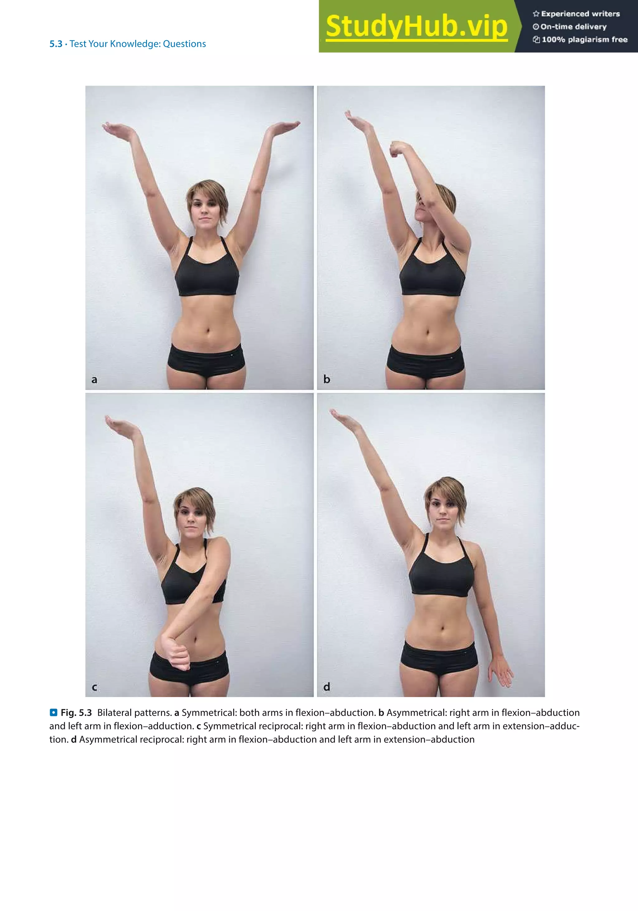 An Illustrated Guide PNF In Practice Fourth Edition | PDF