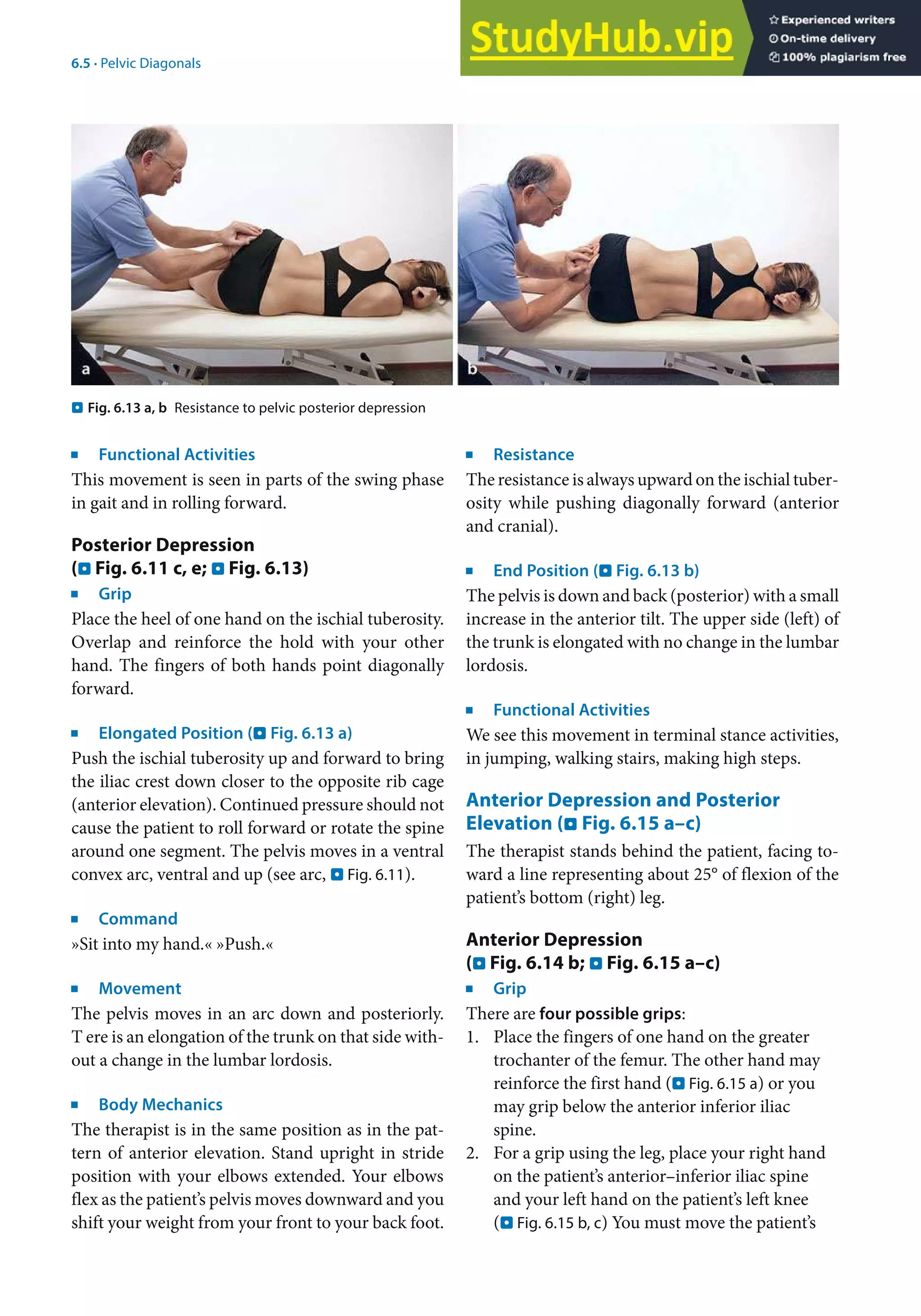 An Illustrated Guide PNF In Practice Fourth Edition | PDF