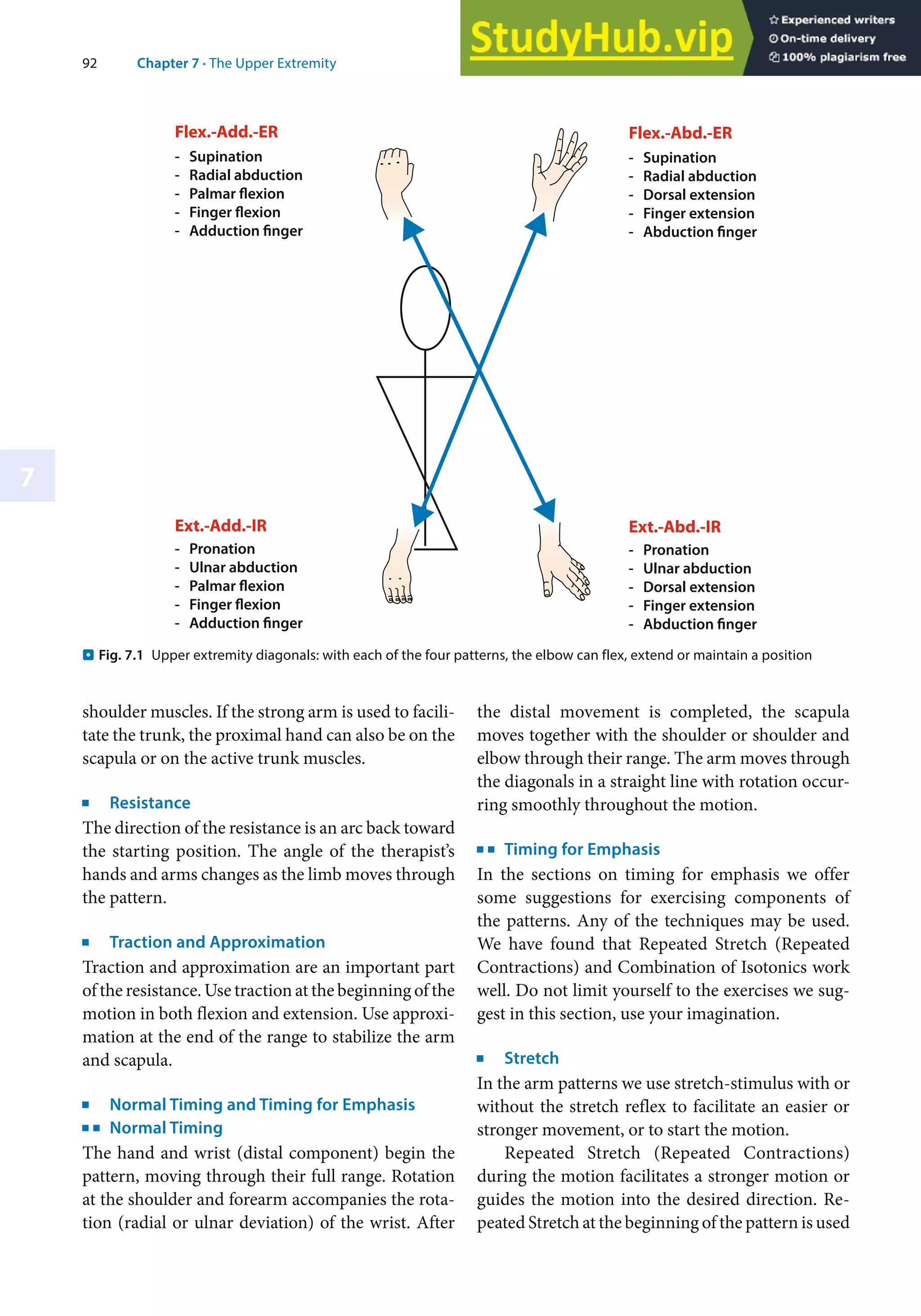 An Illustrated Guide PNF In Practice Fourth Edition | PDF