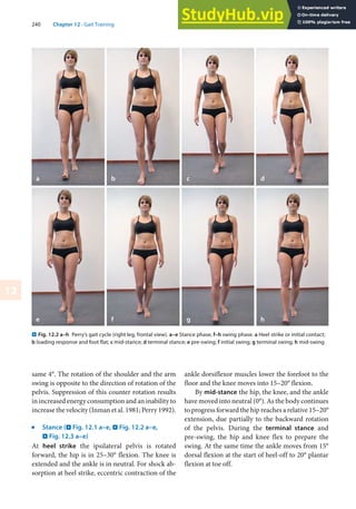 240 Chapter 12 · Gait Training
12
same 4°. The rotation of the shoulder and the arm
swing is opposite to the direction of rotation of the
pelvis. Suppression of this counter rotation results
in increased energy consumption and an inability to
increase the velocity (Inman et al. 1981; Perry 1992).
j
Stance (. Fig. 12.1 a–e, . Fig. 12.2 a–e,
. Fig. 12.3 a–e)
At heel strike the ipsilateral pelvis is rotated
forward, the hip is in 25–30° flexion. The knee is
extended and the ankle is in neutral. For shock ab-
sorption at heel strike, eccentric contraction of the
. Fig. 12.2 a–h Perry’s gait cycle (right leg, frontal view). a–e Stance phase, f–h swing phase. a Heel strike or initial contact;
b loading response and foot flat; c mid-stance; d terminal stance; e pre-swing; f initial swing; g terminal swing; h mid-swing
a
e
b
f
c
g
d
h
ankle dorsiflexor muscles lower the forefoot to the
floor and the knee moves into 15–20° flexion.
By mid-stance the hip, the knee, and the ankle
have moved into neutral (0°). As the body continues
to progress forward the hip reaches a relative 15–20°
extension, due partially to the backward rotation
of the pelvis. During the terminal stance and
pre-swing, the hip and knee flex to prepare the
swing. At the same time the ankle moves from 15°
dorsal flexion at the start of heel-off to 20° plantar
flexion at toe off.
 