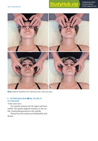 13
279
13.2 · Facial Muscles
j
M. Orbicularis Oculi (. Fig. 13.5, No. 3)
k
Command
»Close your eyes.«
Use separate exercises for the upper and lower
eyelids. Give gentle diagonal resistance to the eye-
lids. Avoid putting pressure on the eyeballs.
The previous two motions are facilitated by neck
flexion.
. Fig. 13.5 a–d Facilitation of m. orbicularis oculi. »Close your eyes«
a
c
b
d
 