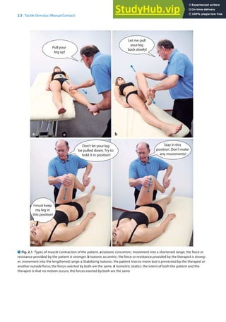 2
19
2.3 · Tactile Stimulus (Manual Contact)
. Fig. 2.1 Types of muscle contraction of the patient. a Isotonic concentric: movement into a shortened range; the force or
resistance provided by the patient is stronger. b Isotonic eccentric: the force or resistance provided by the therapist is strong-
er; movement into the lengthened range. c Stabilizing isotonic: the patient tries to move but is prevented by the therapist or
another outside force; the forces exerted by both are the same. d Isometric (static): the intent of both the patient and the
therapist is that no motion occurs; the forces exerted by both are the same
 