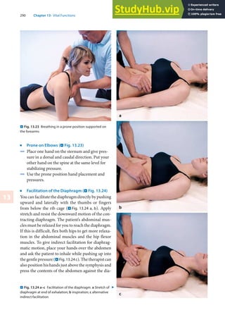 290 Chapter 13 · Vital Functions
13
j
Prone on Elbows (. Fig. 13.23)
4 Place one hand on the sternum and give pres-
sure in a dorsal and caudal direction. Put your
other hand on the spine at the same level for
stabilizing pressure.
4 Use the prone position hand placement and
pressures.
j
Facilitation of the Diaphragm (. Fig. 13.24)
You can facilitate the diaphragm directly by pushing
upward and laterally with the thumbs or fingers
from below the rib cage (. Fig. 13.24 a, b). Apply
stretch and resist the downward motion of the con-
tracting diaphragm. The patient’s abdominal mus-
cles must be relaxed for you to reach the diaphragm.
If this is difficult, flex both hips to get more relaxa-
tion in the abdominal muscles and the hip flexor
muscles. To give indirect facilitation for diaphrag-
matic motion, place your hands over the abdomen
and ask the patient to inhale while pushing up into
the gentle pressure (. Fig. 13.24 c). The therapist can
also position his hands just above the symphysis and
press the contents of the abdomen against the dia-
. Fig. 13.23 Breathing in a prone position supported on
the forearms
. Fig. 13.24 a–c Facilitation of the diaphragm. a Stretch of
diaphragm at end of exhalation; b inspiration; c alternative
indirect facilitation
7
 
