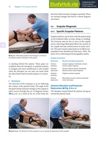 72 Chapter 6 · The Scapula and Pelvis
6
is standing behind the patient. These grips are
modified when the therapist’s or patient’s position
is changed, and some modification is also needed
when the therapist can use only one hand while
the other hand controls another pattern or extrem-
ity.
j
Resistance
The direction of the resistance is an arc following
the contour of the patient’s body. The angle of the
therapist’s hands and arms changes as the scapula or
pelvis moves through this arc of diagonal motion
(. Fig. 6.3). As a result of the arc of the body, the
direction of the resistance changes constantly. These
are minimal changes that lead to a fluent diagonal
movement.
6.4 Scapular Diagonals
6.4.1 Specific Scapular Patterns
Scapular patterns can be done with the patient lying
on the treatment table, on mats, sitting, or standing.
The humerus must be free to move as the scapula
moves. Side-lying (illustrated) allows free motion of
the scapula and easy reinforcement of trunk activi-
ties. The main muscle components are as follows (ex-
trapolated from Kendall and McCreary 1993). We
know of no confirming electromyographic studies.
Scapular movements
Movement Muscles: principal components
Anterior
elevation
Levator scapulae, rhomboids, serratus
anterior, upper trapezius
Posterior
depression
Serratus anterior (lower), rhomboids,
latissimus dorsi, lower trapezius
Posterior
elevation
Trapezius, levator scapulae
Anterior
depression
Rhomboids, serratus anterior, pectoralis
minor and major
Anterior Elevation and Posterior
Depression (. Fig. 6.4 a–c)
The therapist stands behind the patient, facing up
toward the patient’s head.
. Fig. 6.2 Alternative position: the therapist is in front of
the patient (anterior elevation of the pelvis)
. Fig. 6.3 a, b. The direction of the resistance is an arc (posterior depression of the scapula)
 