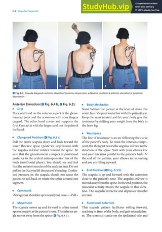 6
73
6.4 · Scapular Diagonals
Anterior Elevation (. Fig. 6.4 b, . Fig. 6.5):
j
Grip
Place one hand on the anterior aspect of the gleno-
humeral joint and the acromion with your fingers
cupped. The other hand covers and supports the
first. Contact is with the fingers and not the palm of
the hand.
j
Elongated Position (. Fig. 6.5 a)
Pull the entire scapula down and back toward the
lower thoracic spine (posterior depression) with
the angulus inferior rotated toward the spine. Be
sure that the glenohumeral complex is positioned
posterior to the central anteroposterior line of the
body (midfrontal plane). You should see and feel
that the anterior muscles of the neck are taut. Do not
pull so far that you lift the patient’s head up. Contin-
ued pressure on the scapula should not cause the
patient to roll back or rotate the spine around one
segment.
j
Command
»Shrug your shoulder up toward your nose.« »Pull.«
j
Movement
The scapula moves up and forward in a line aimed
approximately at the patient’s nose. The inferior an-
gle moves away from the spine (. Fig. 6.4 b).
j
Body Mechanics
Stand behind the patient at the level of about the
waist. In stride position in line with the patient’s ear.
Keep the arms relaxed and let your body give the
resistance by shifting your weight from the back to
the front leg.
j
Resistance
The line of resistance is an arc following the curve
of the patient’s body. To resist the rotation compo-
nent, the therapist resists the angulus inferior in the
direction of the spine. Start with your elbows low
and your forearms parallel to the patient’s back. At
the end of the pattern, your elbows are extending
and you are lifting upward.
j
End Position (. Fig. 6.5 b)
The scapula is up and forward with the acromion
close to the patient’s nose. The angulus inferior is
moved away from the spine. In the end position, the
muscular activity moves the scapula in this direc-
tion. The scapular retractor and depressor muscles
are taut.
j
Functional Activities
This scapula pattern facilitates rolling forward,
reaching in front of the body, and gait-related phas-
es. The terminal stance on the ipsilateral side and
. Fig. 6.4 Scapula diagonal: anterior elevation/posterior depression. a Neutral position; b anterior elevation; c posterior
depression
 
