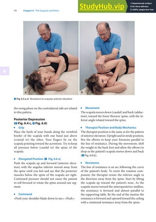 74 Chapter 6 · The Scapula and Pelvis
6
the swing phase on the contralateral side are related
to this pattern.
Posterior Depression
(. Fig. 6.4 c, . Fig. 6.6)
j
Grip
Place the heels of your hands along the vertebral
border of the scapula with one hand just above
(cranial to) the other. Your fingers lie on the
scapula pointing toward the acromion. Try to keep
all pressure below (caudal to) the spine of the
scapula.
j
Elongated Position (. Fig. 6.6 a)
Push the scapula up and forward (anterior eleva-
tion) with the angulus inferior moved away from
the spine until you feel and see that the posterior
muscles below the spine of the scapula are tight.
Continued pressure should not cause the patient
to roll forward or rotate the spine around one seg-
ment.
j
Command
»Push your shoulder blade down to me.« »Push.«
j
Movement
The scapula moves down (caudal) and back (adduc-
tion), toward the lower thoracic spine, with the in-
ferior angle rotated toward the spine.
j
Therapist Position and Body Mechanics
The therapist position is the same as for the pattern
of anterior elevation. Upright and in stride position,
flex the elbows to keep your forearms parallel to
the line of resistance. During the movement, shift
the weight to the back foot and allow the elbows to
drop as the patient’s scapula moves down and back
(. Fig. 6.6 b).
j
Resistance
The line of resistance is an arc following the curve
of the patient’s body. To resist the rotation com-
ponent, the therapist resists the inferior angle in
the direction away from the spine. Start by lifting
the scapula up toward the patient’s nose. As the
scapula moves toward the anteroposterior midline,
the resistance is forward and almost parallel to
the supporting table. By the end of the motion the
resistance is forward and upward toward the ceiling
with a rotational resistance away from the spine.
. Fig. 6.5 a, b Resistance to scapular anterior elevation
 