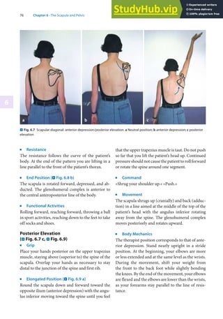 76 Chapter 6 · The Scapula and Pelvis
6
j
Resistance
The resistance follows the curve of the patient’s
body. At the end of the pattern you are lifting in a
line parallel to the front of the patient’s thorax.
j
End Position (. Fig. 6.8 b)
The scapula is rotated forward, depressed, and ab-
ducted. The glenohumeral complex is anterior to
the central anteroposterior line of the body.
j
Functional Activities
Rolling forward, reaching forward, throwing a ball
in sport activities, reaching down to the feet to take
off socks and shoes.
Posterior Elevation
(. Fig. 6.7 c, . Fig. 6.9)
j
Grip
Place your hands posterior on the upper trapezius
muscle, staying above (superior to) the spine of the
scapula. Overlap your hands as necessary to stay
distal to the junction of the spine and first rib.
j
Elongated Position (. Fig. 6.9 a)
Round the scapula down and forward toward the
opposite ilium (anterior depression) with the angu-
lus inferior moving toward the spine until you feel
that the upper trapezius muscle is taut. Do not push
so far that you lift the patient’s head up. Continued
pressure should not cause the patient to roll forward
or rotate the spine around one segment.
j
Command
»Shrug your shoulder up.« »Push.«
j
Movement
The scapula shrugs up (cranially) and back (adduc-
tion) in a line aimed at the middle of the top of the
patient’s head with the angulus inferior rotating
away from the spine. The glenohumeral complex
moves posteriorly and rotates upward.
j
Body Mechanics
The therapist position corresponds to that of ante-
rior depression. Stand nearly upright in a stride
position. At the beginning, your elbows are more
or less extended and at the same level as the wrists.
During the movement, shift your weight from
the front to the back foot while slightly bending
the knees. By the end of the movement, your elbows
are flexed and the elbows are lower than the wrists,
as your forearms stay parallel to the line of resis-
tance.
. Fig. 6.7 Scapular diagonal: anterior depression/posterior elevation. a Neutral position; b anterior depression; c posterior
elevation
 