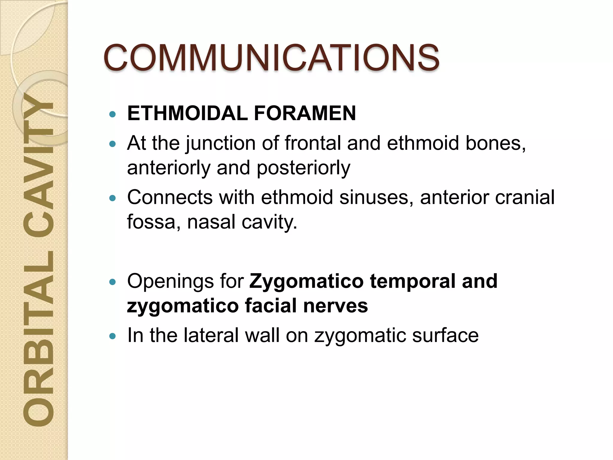 COMMUNICATIONSORBITALCAVITY
 ETHMOIDAL FORAMEN
 At the junction of frontal and ethmoid bones,
anteriorly and posteriorly
 Connects with ethmoid sinuses, anterior cranial
fossa, nasal cavity.
 Openings for Zygomatico temporal and
zygomatico facial nerves
 In the lateral wall on zygomatic surface
 