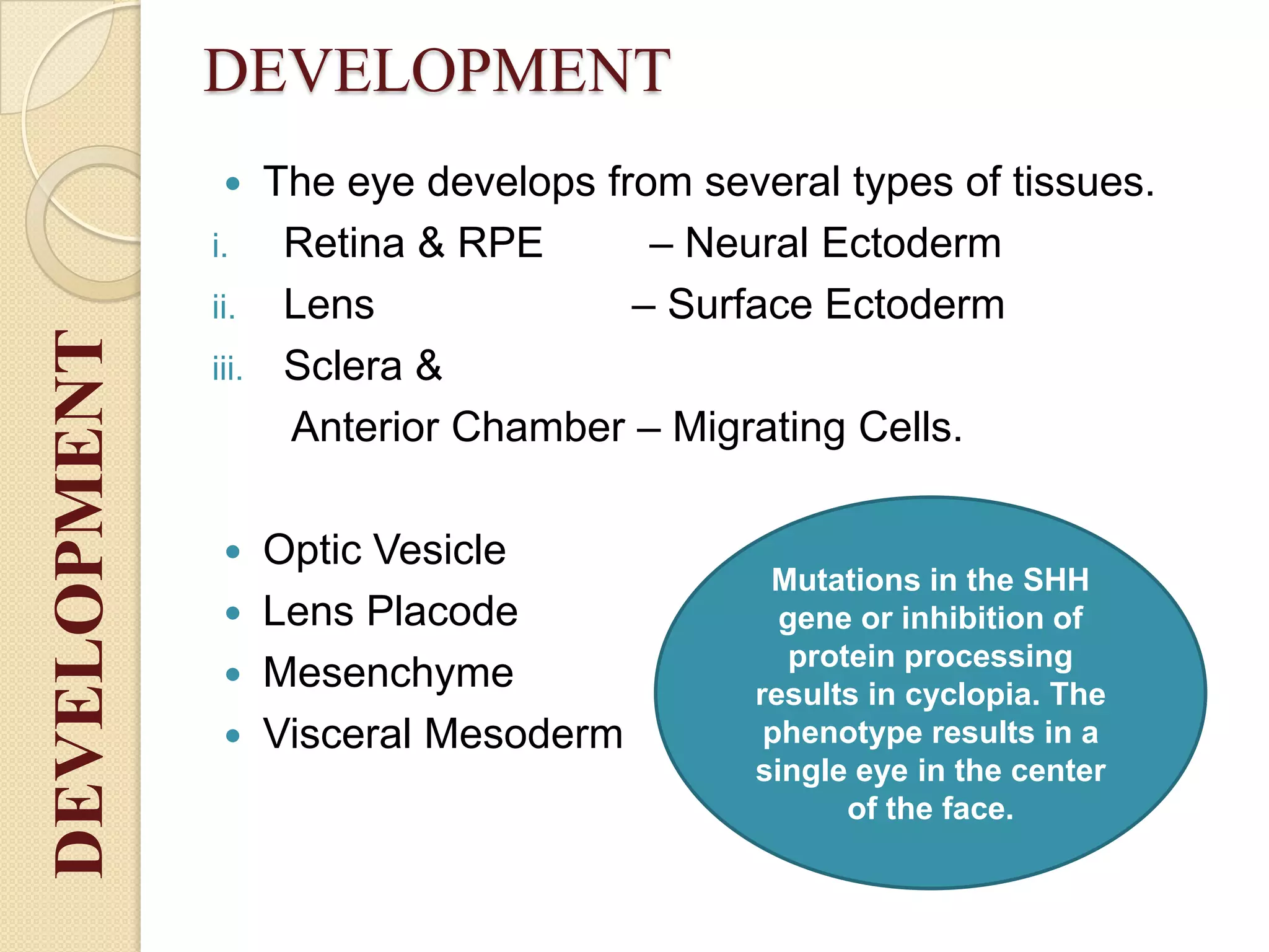 DEVELOPMENT
 The eye develops from several types of tissues.
i. Retina & RPE – Neural Ectoderm
ii. Lens – Surface Ectoderm
iii. Sclera &
Anterior Chamber – Migrating Cells.
 Optic Vesicle
 Lens Placode
 Mesenchyme
 Visceral Mesoderm
Mutations in the SHH
gene or inhibition of
protein processing
results in cyclopia. The
phenotype results in a
single eye in the center
of the face.
DEVELOPMENT
 