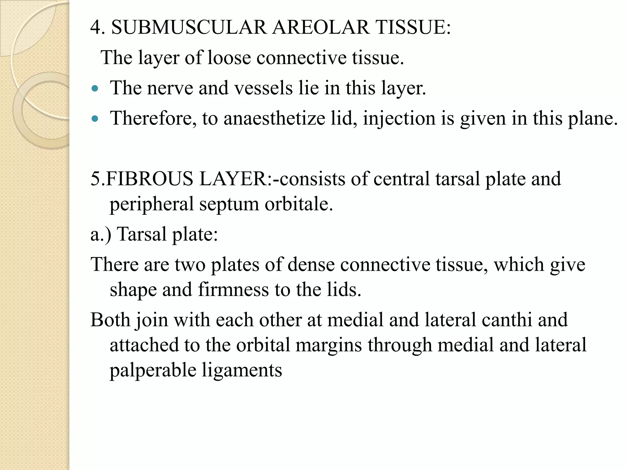 4. SUBMUSCULAR AREOLAR TISSUE:
The layer of loose connective tissue.
 The nerve and vessels lie in this layer.
 Therefore, to anaesthetize lid, injection is given in this plane.
5.FIBROUS LAYER:-consists of central tarsal plate and
peripheral septum orbitale.
a.) Tarsal plate:
There are two plates of dense connective tissue, which give
shape and firmness to the lids.
Both join with each other at medial and lateral canthi and
attached to the orbital margins through medial and lateral
palperable ligaments
 