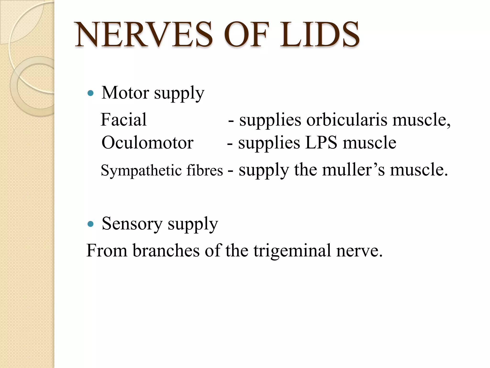 NERVES OF LIDS
 Motor supply
Facial - supplies orbicularis muscle,
Oculomotor - supplies LPS muscle
Sympathetic fibres - supply the muller’s muscle.
 Sensory supply
From branches of the trigeminal nerve.
 