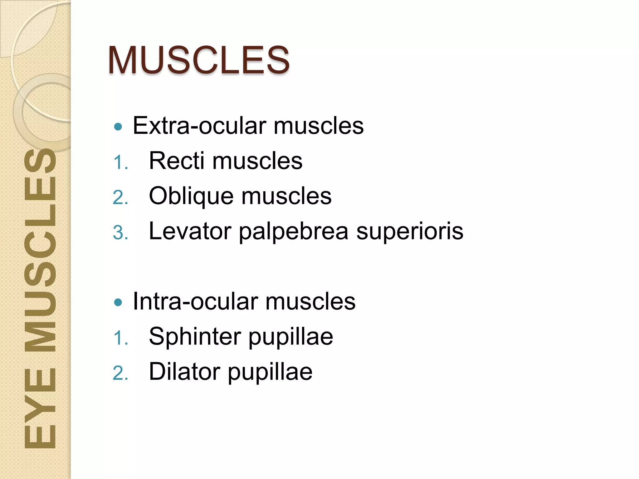 MUSCLESEYEMUSCLES
 Extra-ocular muscles
1. Recti muscles
2. Oblique muscles
3. Levator palpebrea superioris
 Intra-ocular muscles
1. Sphinter pupillae
2. Dilator pupillae
 