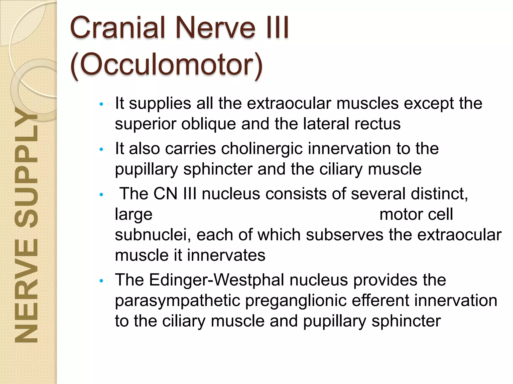 Cranial Nerve III
(Occulomotor)
• It supplies all the extraocular muscles except the
superior oblique and the lateral rectus
• It also carries cholinergic innervation to the
pupillary sphincter and the ciliary muscle
• The CN III nucleus consists of several distinct,
large motor cell
subnuclei, each of which subserves the extraocular
muscle it innervates
• The Edinger-Westphal nucleus provides the
parasympathetic preganglionic efferent innervation
to the ciliary muscle and pupillary sphincter
NERVESUPPLY
 