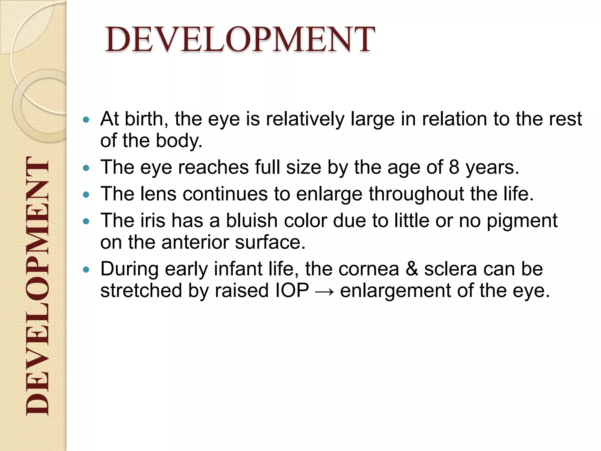 DEVELOPMENT
 At birth, the eye is relatively large in relation to the rest
of the body.
 The eye reaches full size by the age of 8 years.
 The lens continues to enlarge throughout the life.
 The iris has a bluish color due to little or no pigment
on the anterior surface.
 During early infant life, the cornea & sclera can be
stretched by raised IOP → enlargement of the eye.
DEVELOPMENT
 
