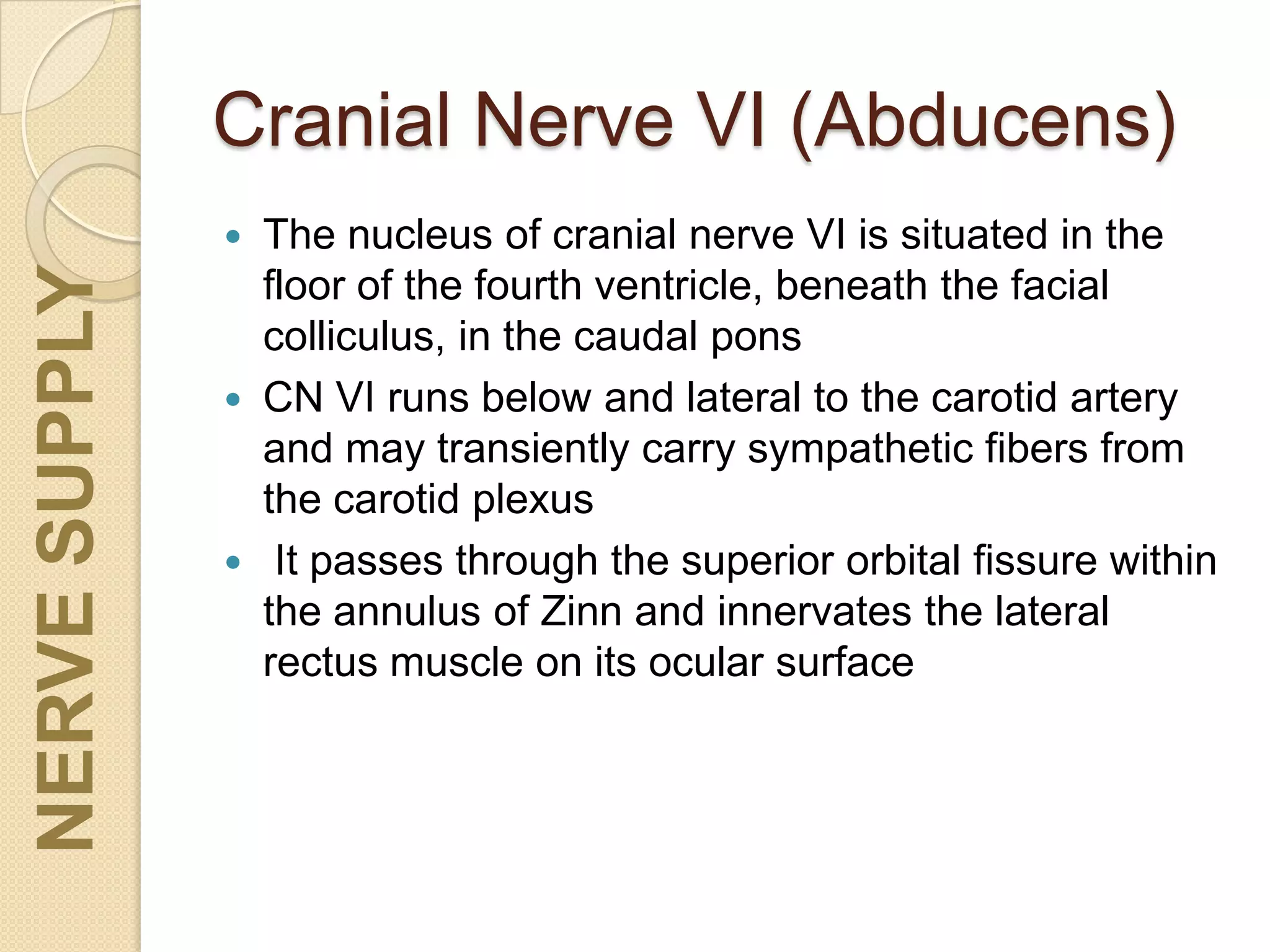 Cranial Nerve VI (Abducens)
 The nucleus of cranial nerve VI is situated in the
floor of the fourth ventricle, beneath the facial
colliculus, in the caudal pons
 CN VI runs below and lateral to the carotid artery
and may transiently carry sympathetic fibers from
the carotid plexus
 It passes through the superior orbital fissure within
the annulus of Zinn and innervates the lateral
rectus muscle on its ocular surface
NERVESUPPLY
 