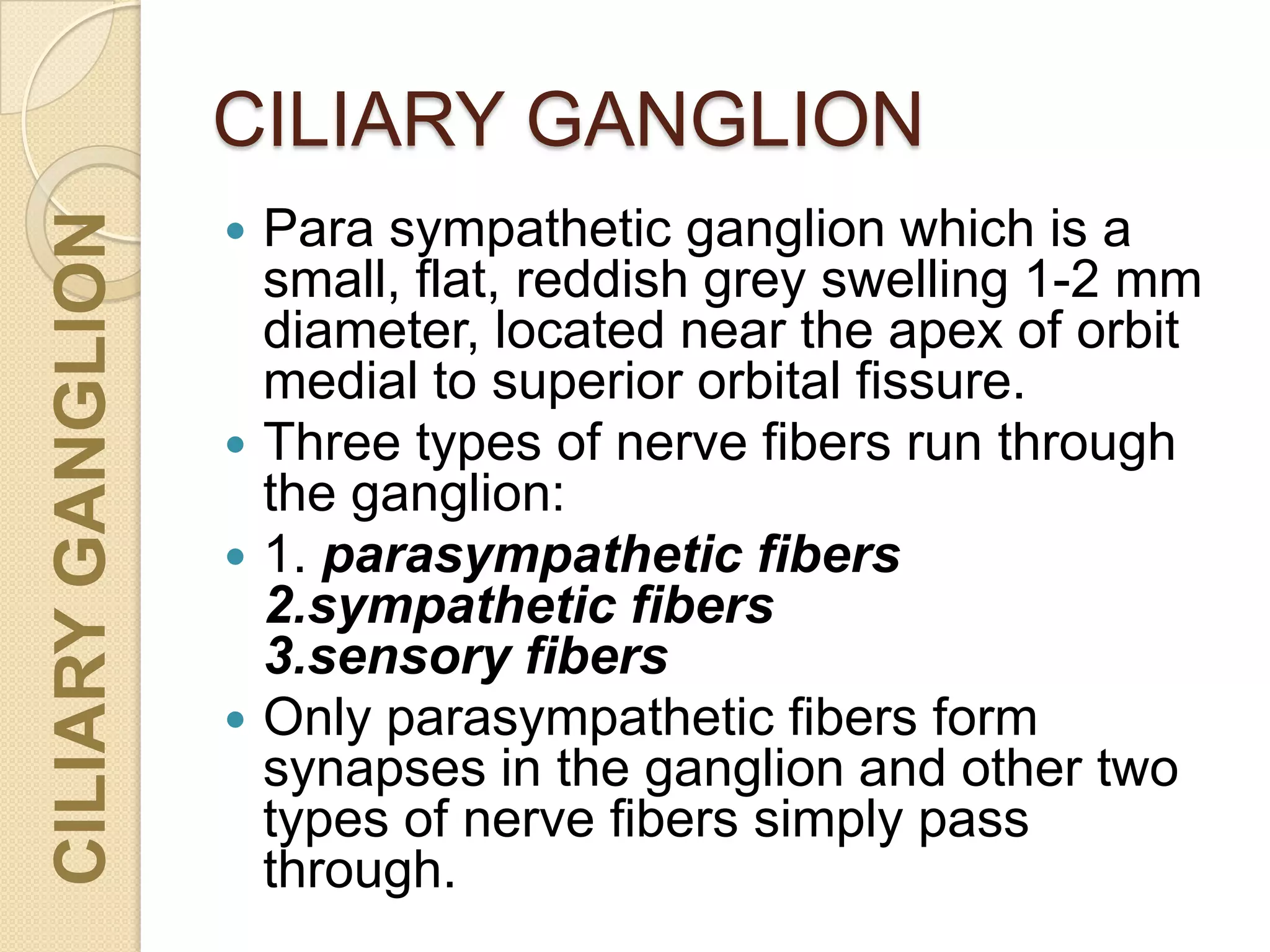 CILIARYGANGLION
CILIARY GANGLION
 Para sympathetic ganglion which is a
small, flat, reddish grey swelling 1-2 mm
diameter, located near the apex of orbit
medial to superior orbital fissure.
 Three types of nerve fibers run through
the ganglion:
 1. parasympathetic fibers
2.sympathetic fibers
3.sensory fibers
 Only parasympathetic fibers form
synapses in the ganglion and other two
types of nerve fibers simply pass
through.
 