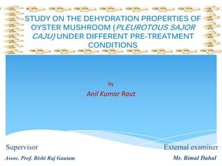 by
Anil Kumar Raut
Supervisor External examiner
Assoc. Prof. Rishi Raj Gautam Mr. Bimal Dahal
STUDY ON THE DEHYDRATION PROPERTIES OF
OYSTER MUSHROOM (PLEUROTOUS SAJOR
CAJU) UNDER DIFFERENT PRE-TREATMENT
CONDITIONS
 